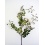 Wild Rose Spray - silk flower garden