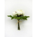 Cream Peony
