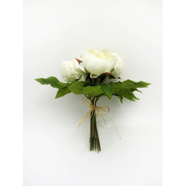 Cream Peony