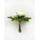 Cream Peony