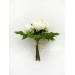 Cream Peony