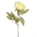 Peony pale green 62cm