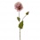 Poppy vintage pink Spray 74cm