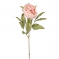 Peony pale pink 62cm