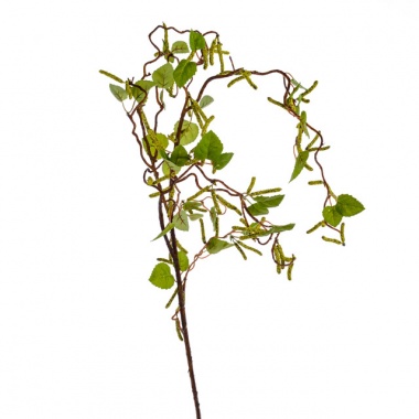 Catkin Branch 115cm 