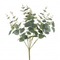 Eucalyptus Bush 50 cm