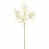 Nerine Ivory stem 70cm  