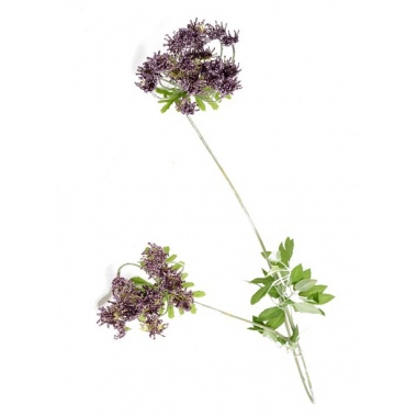 Cow parsley 119cm Purple
