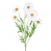 Daisy Spray - silk flower