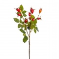 Rosehip Spray